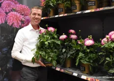 Bas van der Kraan from Beekenkamp Plants preseting the Maggiore Rose Bicolor from the Labella Dahlia serie.
